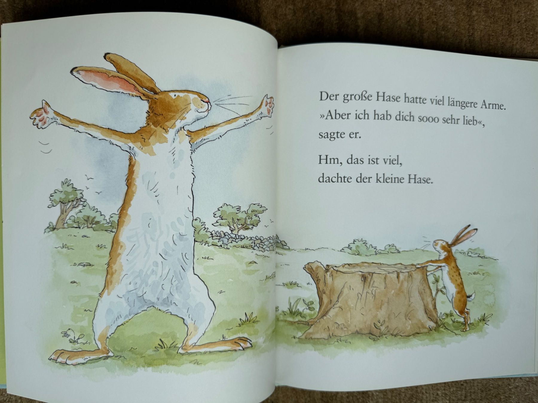Libri: Weisst du eigentlich, wie lieb ich dich hab?? – Usato da Aarau venduto da Kilauea 4