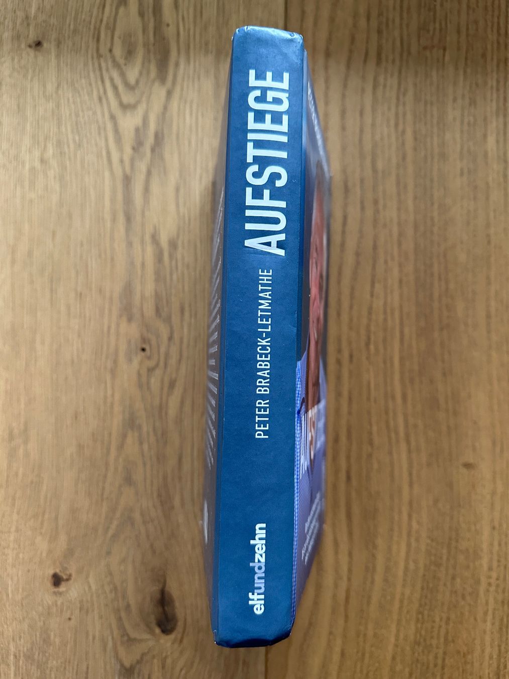 Livres: PETER BRABECK-LETMATHE - AUFSTIEGE – D'occasion à Baar par renbee 1