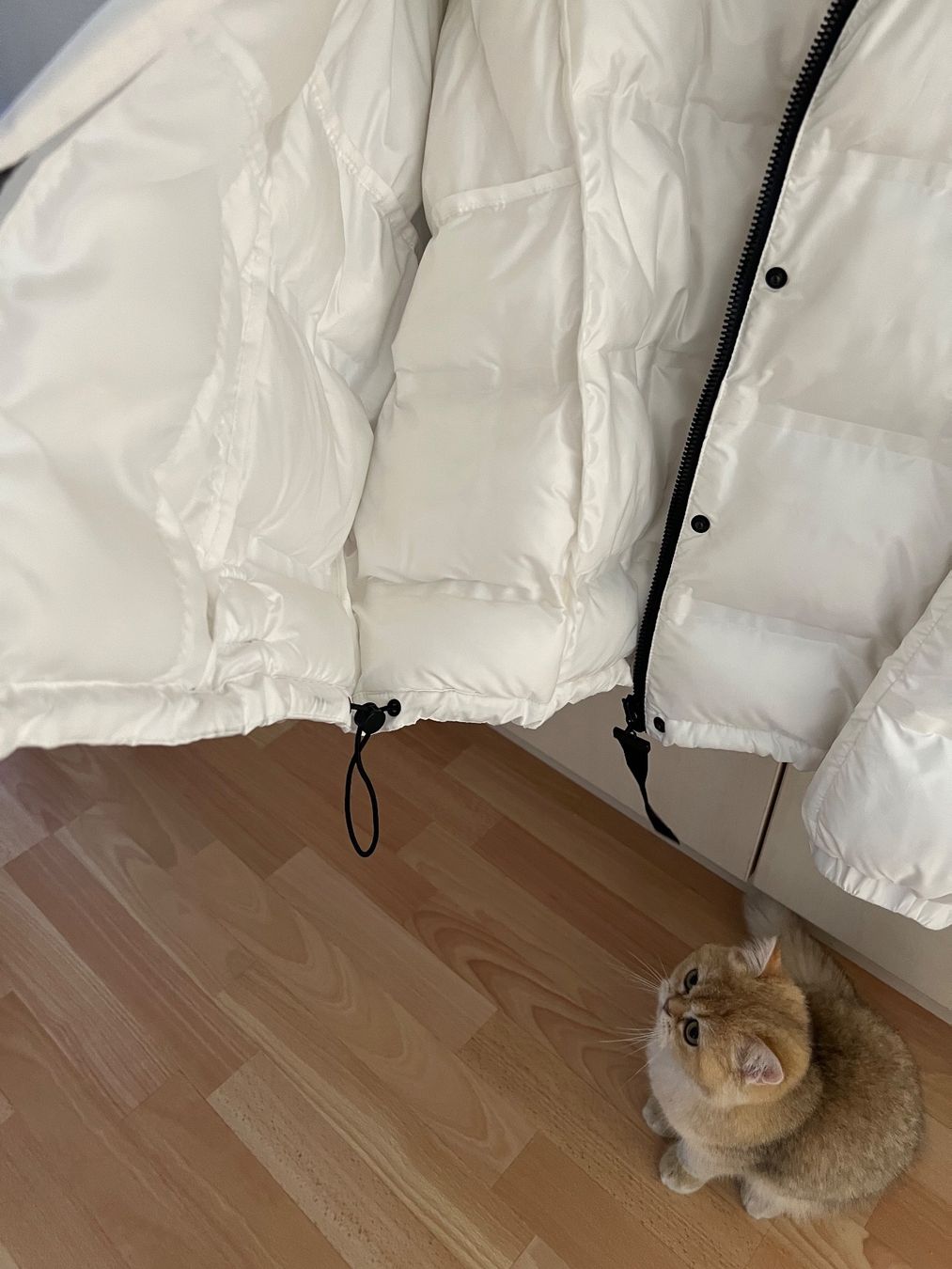 Mango Giacche: Anorak mango xs-s – Usato da Forel (Lavaux) venduto da julie13 2