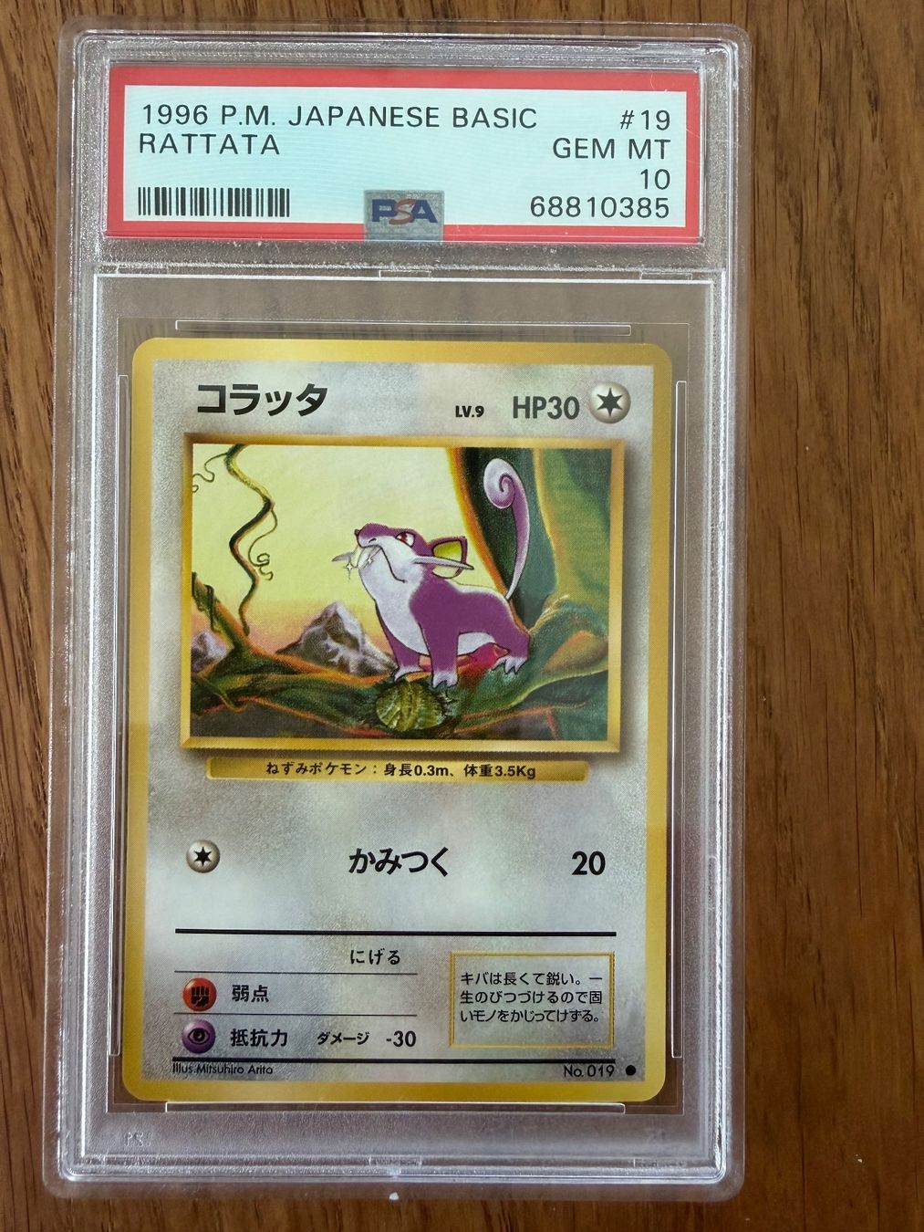 Pokémon Carte collezionabili: 1996  Pokemon Japanisch Basic RATTATA #19  - PSA 10 GEM MNT – Usato da Unterägeri venduto da Famdre