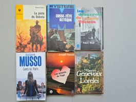 Lots de livres divers en format poche