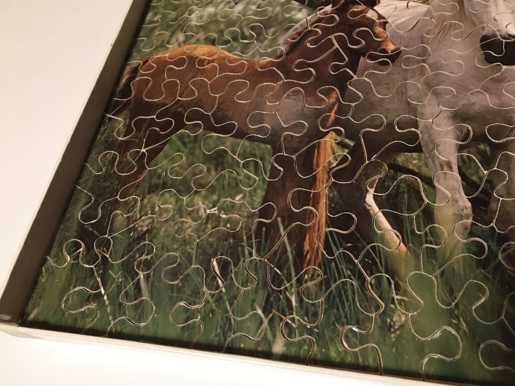 Penelope Puzzle: Penelope Holzpuzzle - Pferde - 80 Teile – Usato da Andwil SG venduto da Rainboli 9