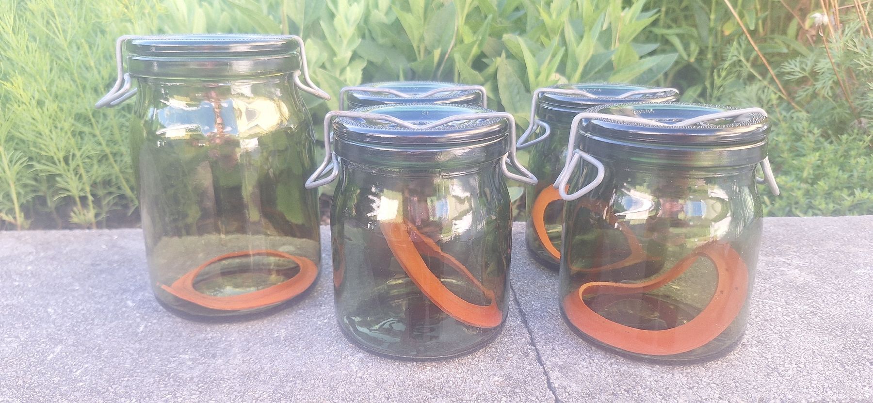 Bülacher Contenitori & Simili: 5 Bülacher Gläser – Usato da Grabs venduto da tschanny