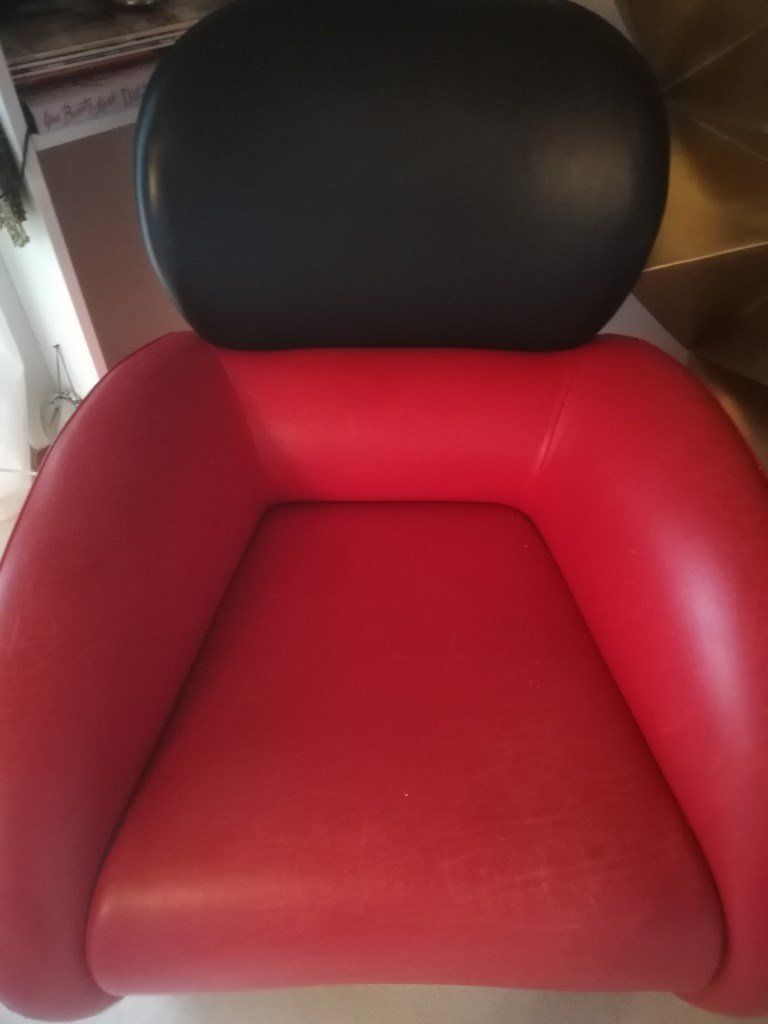 De Sede Sessel: DS 59 De Sede Sessel – Gebraucht aus Uster von walderk 1