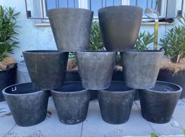 Blumentopf Pflanzentopf Pflanzengefäss Pflanzen Blumen Topf