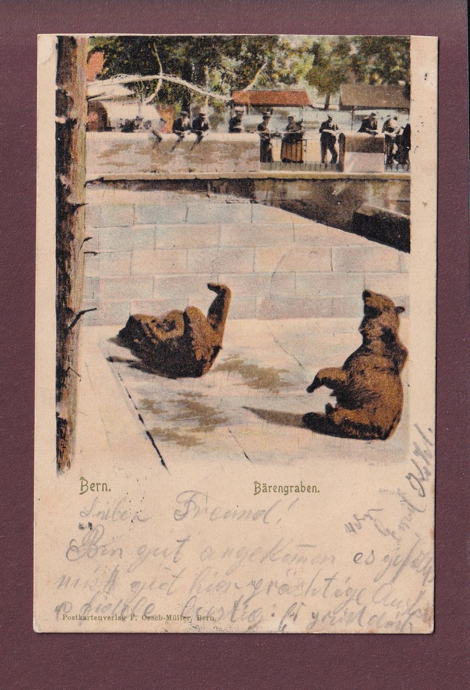 Cartoline postali: BERN - Bärengraben - 1903 Langstempel – Usato da Pully venduto da nicecards