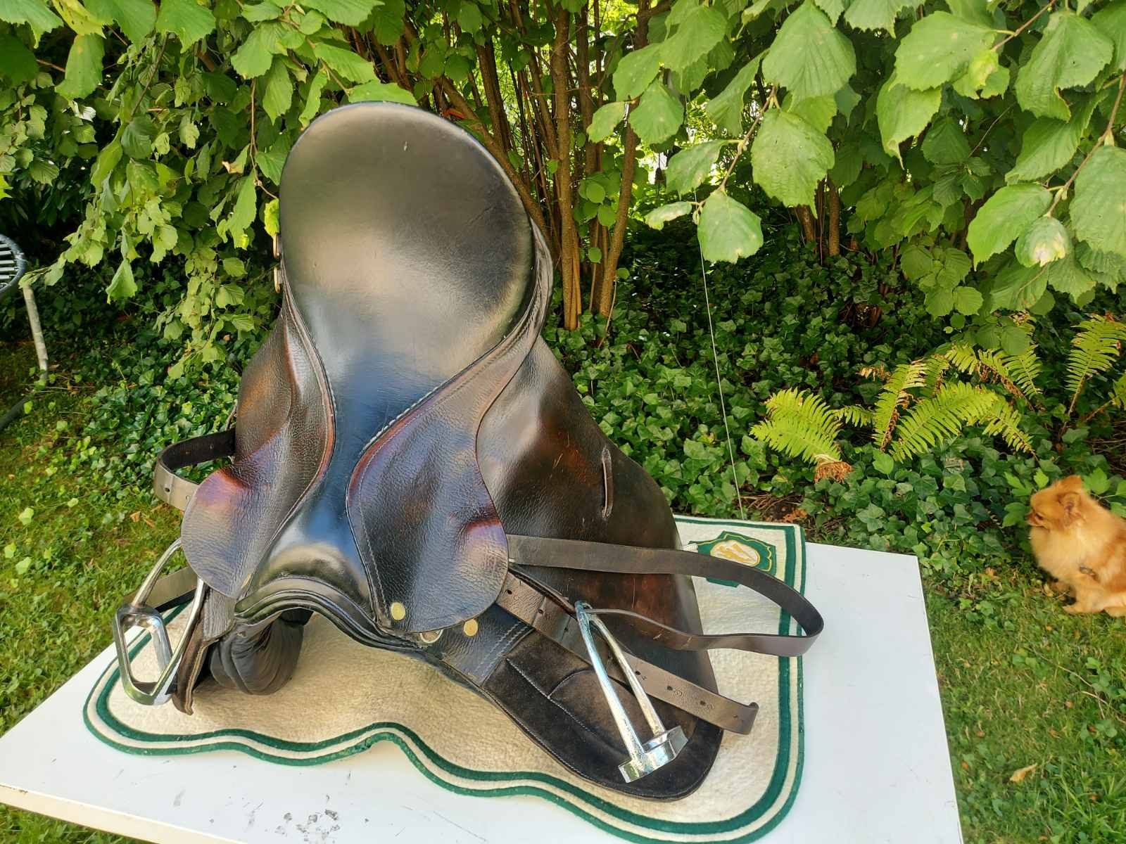 Selle & Accessori: Dressursattel OXFORD – Usato da Männedorf venduto da mge_nb75 1