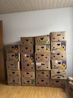 25 Bananenschachteln / Umzugskisten