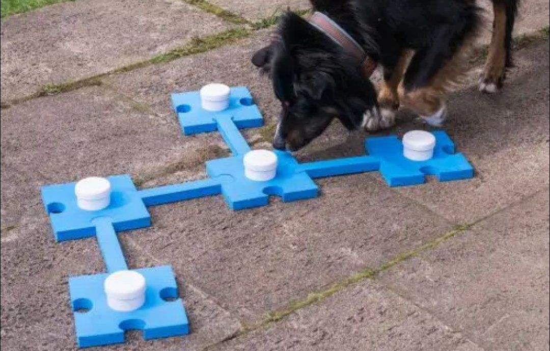 Giochi: Dog Nose Work Game - Super Fun for Smart Snouts! – Usato da Zürich venduto da NinaS86