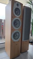 Enceinte Infinity