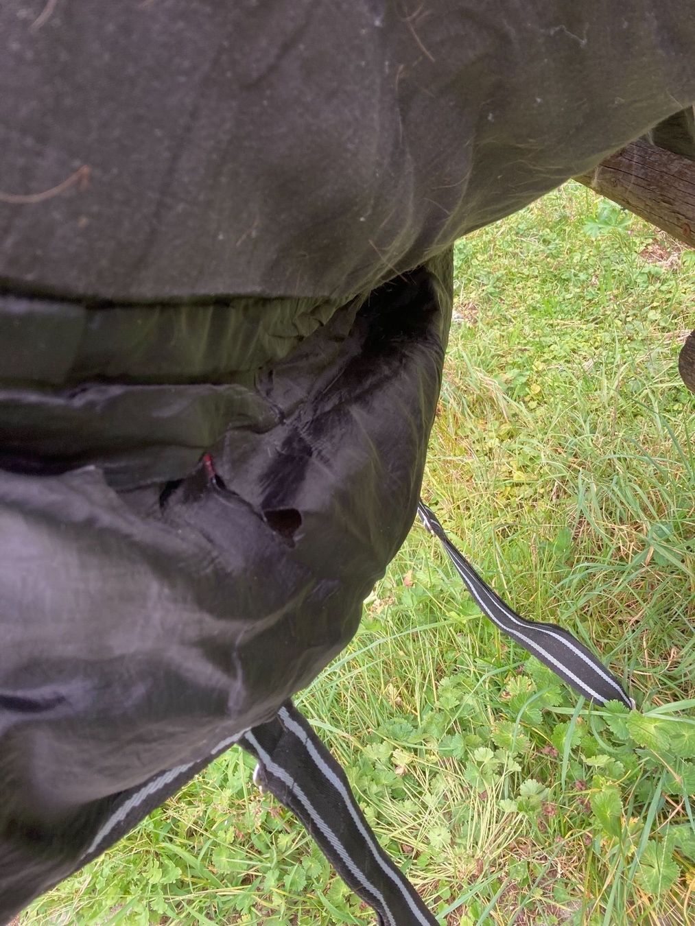 Coperte: Regen-Pferdewinterdecke – Usato da Däniken SO venduto da Sonjab0 2