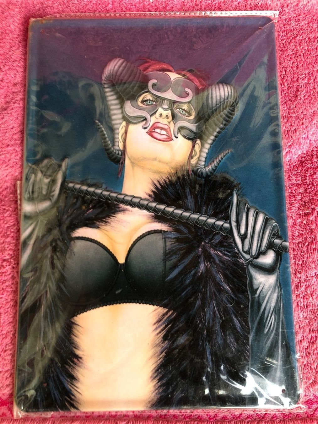 Schilder: Fetisch erotica pin up burlesque show – Neu (gemäss Beschreibung) aus Reinach AG von rares75