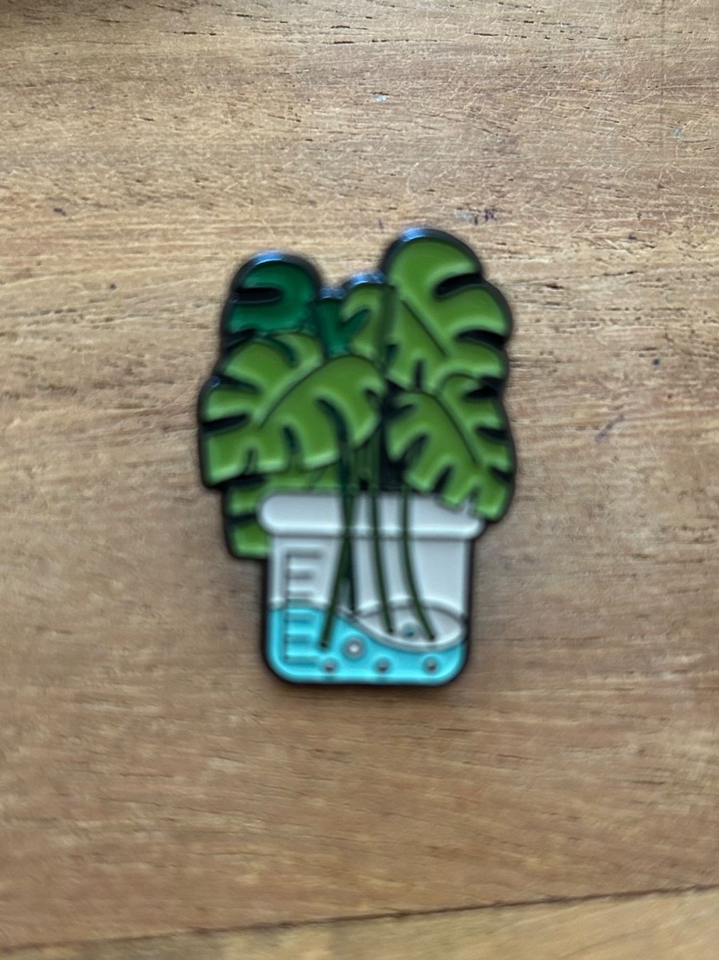 Plaketten & Abzeichen: Pin Monstera – Neu und originalverpackt aus Geneve von vane267