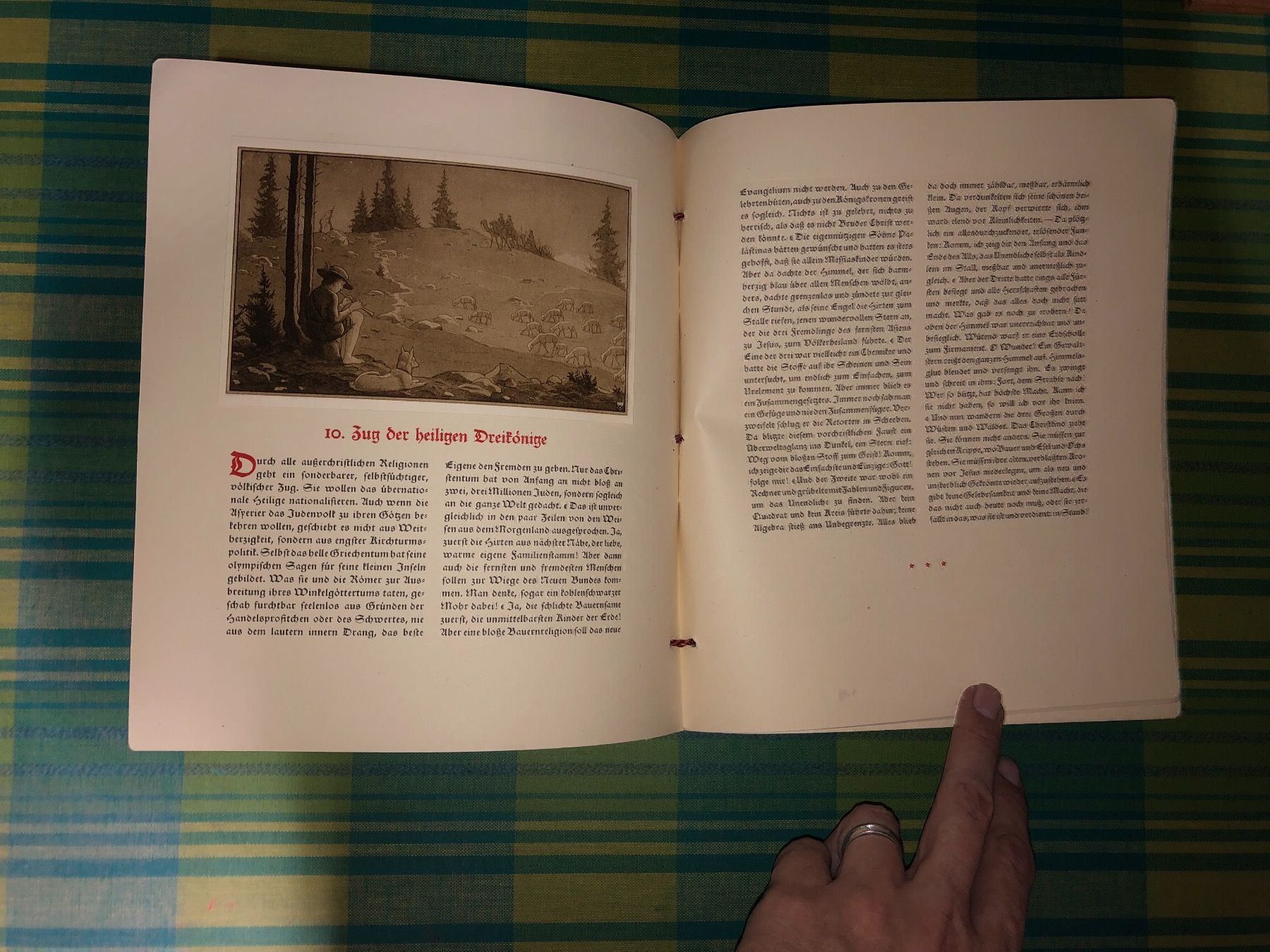 Libri: Und hat ein Blümlein bracht – Usato da Erstfeld venduto da Mario_boe0 7