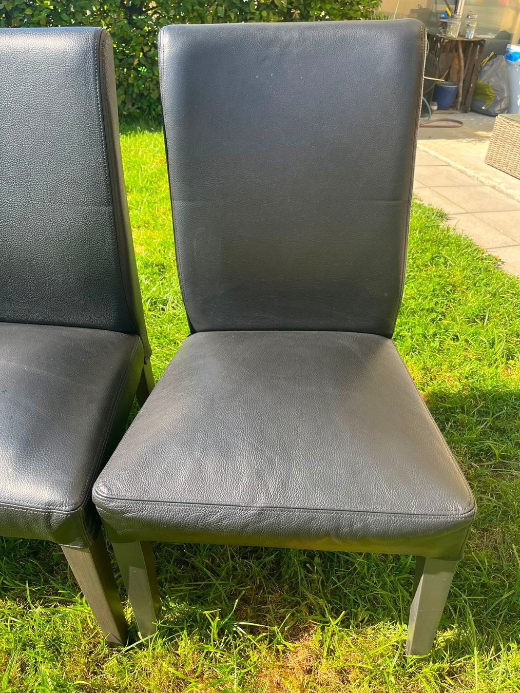 Ikea Sedie: 6x IKEA Henriksdal Stuhl echt Leder – Usato da Wil SG venduto da Klicks 5