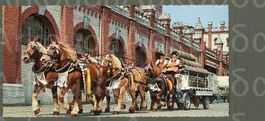 AK color Rheinfelden AG Feldschlösschen,Bierpferde ≈ 1960