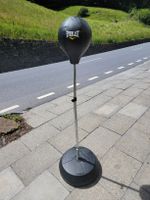 Standboxball