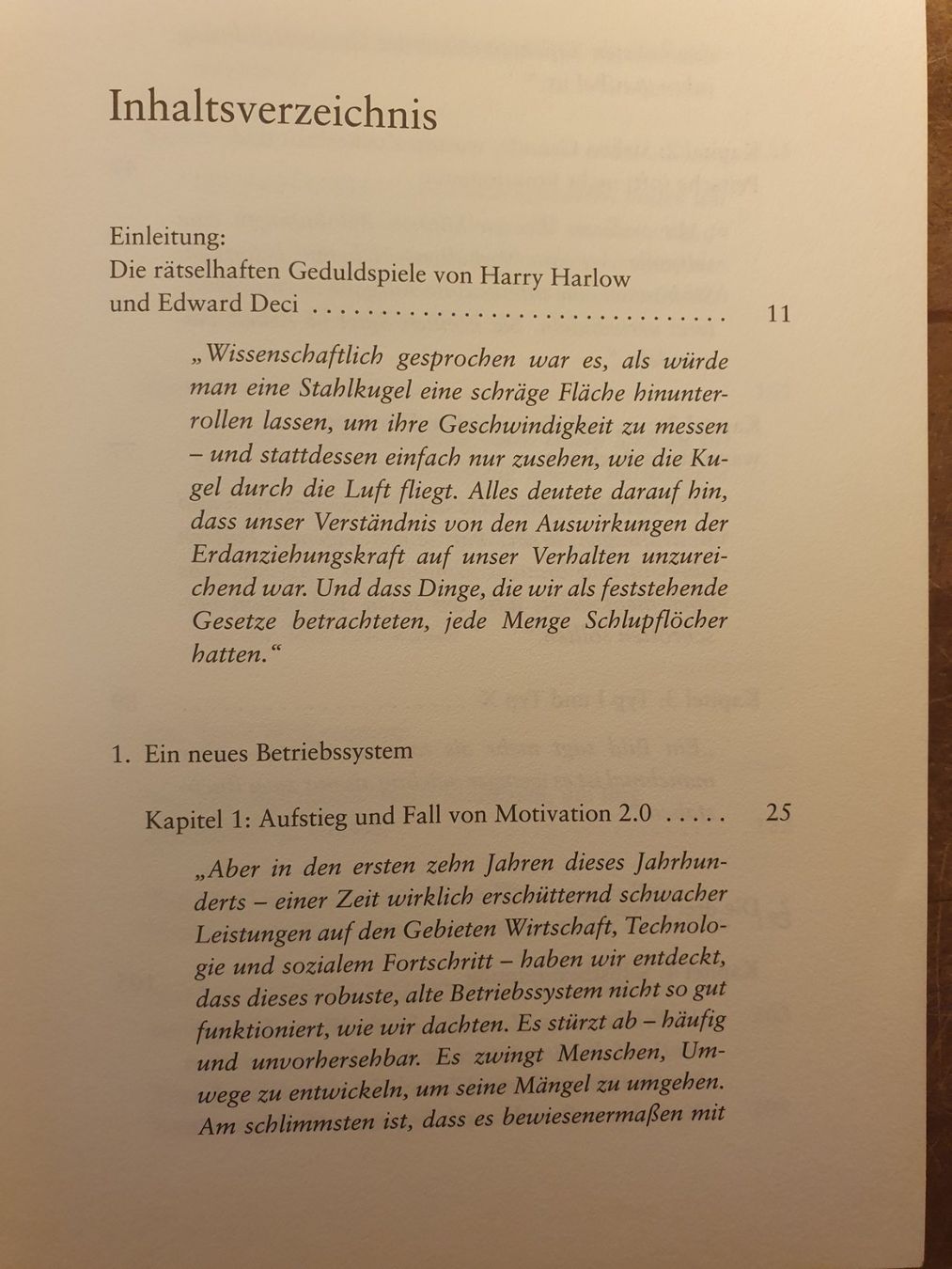 Libri: Drive - Daniel H. Pink – Usato da Zürich venduto da dialout 3