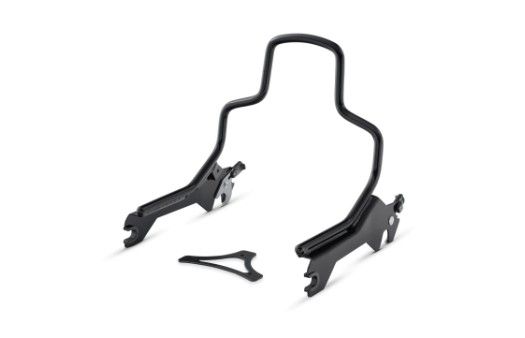 Harley-Davidson Tutti i ricambio per moto: Harley Davidson Sissy Bar – Usato da Unterseen venduto da Janic00