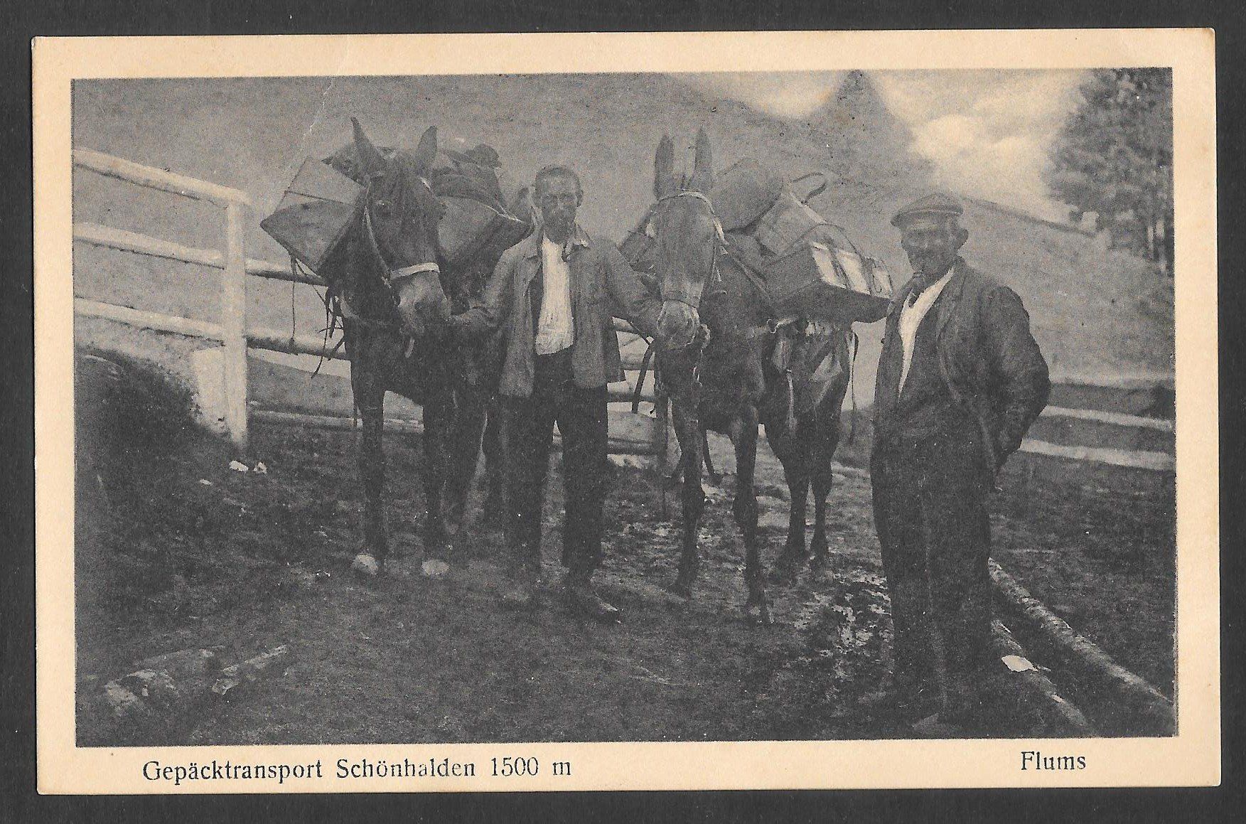 Cartes postales: Flums Gepäcktransport Schönhalden – D'occasion à Olten par clotaldi
