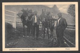 Flums Gepäcktransport Schönhalden