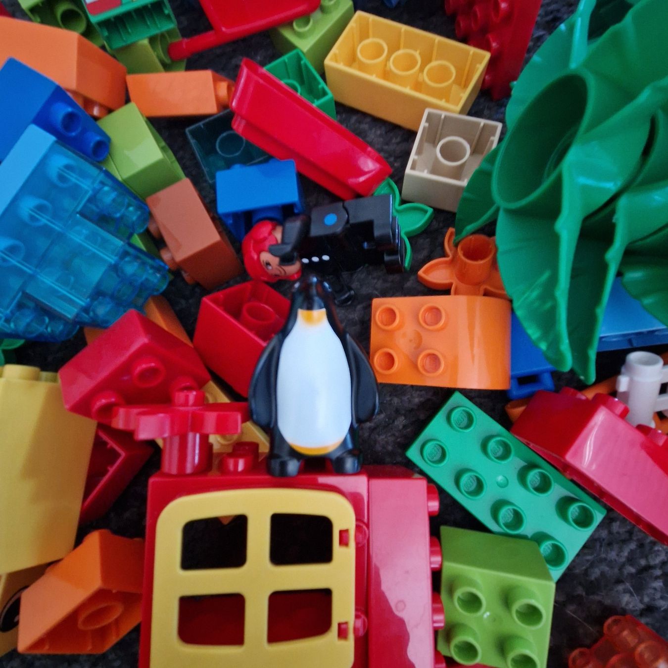 Lego Giocattoli: Duplo, Bausteine, Platten, Tiere – Usato da Gränichen venduto da sunchi07 1