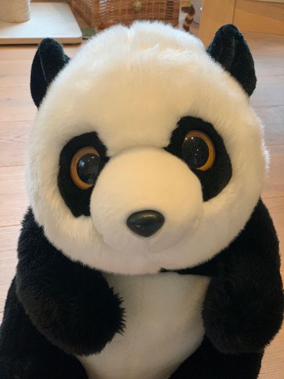 LIN LIN Panda Plüschtier gross sitzend (44 cm) | Kaufen auf Ricardo