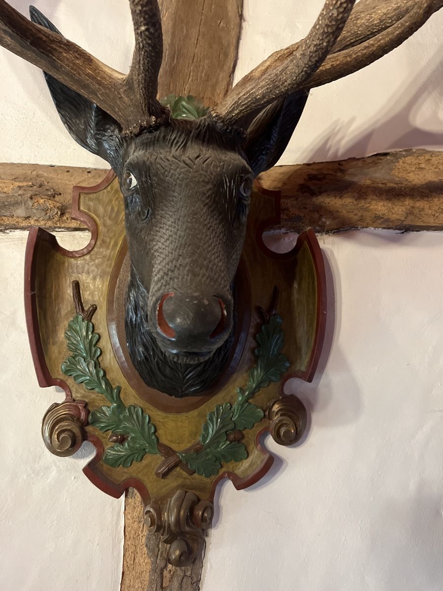 Sculture & Statue: Alte geschnitzte Hirschtrophäe xxl Geweih – Usato da Brienz BE venduto da hey_z9vg