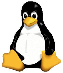 Software: Linux - das bessere Windows – Usato da Wohlen AG venduto da diwi_wohlen