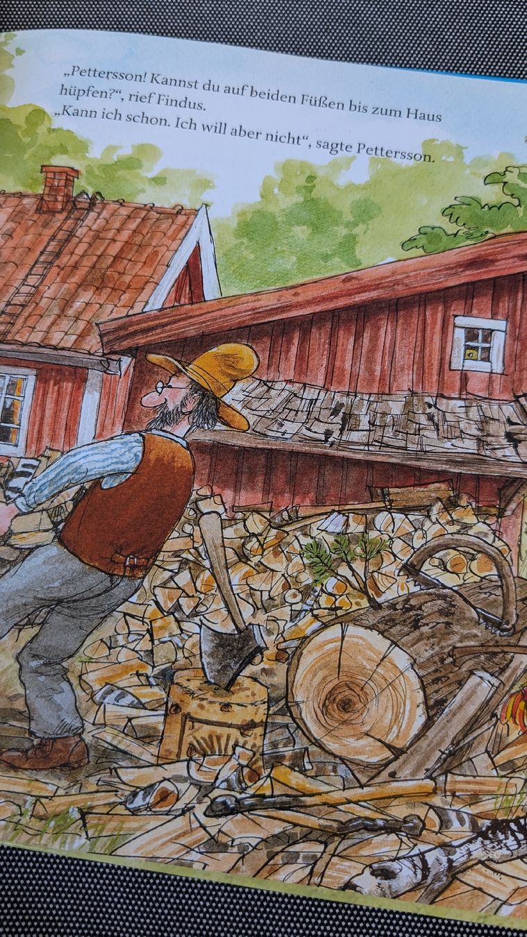 Libri: Bilder/Erzählbuch Pettersson und Findus – Usato da Lüsslingen venduto da nel_xd9y 3