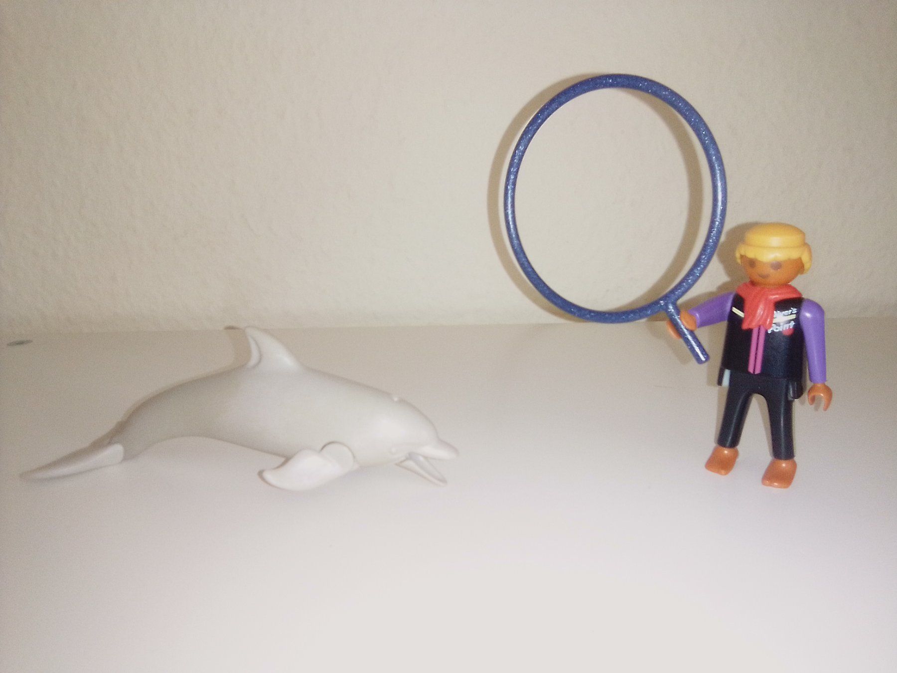 Playmobil Giocattoli: Playmobil - Delfin – Usato da Oftringen venduto da mwi_kv82