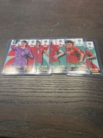Panini Adrenalyn XL Marokko 13 Stück