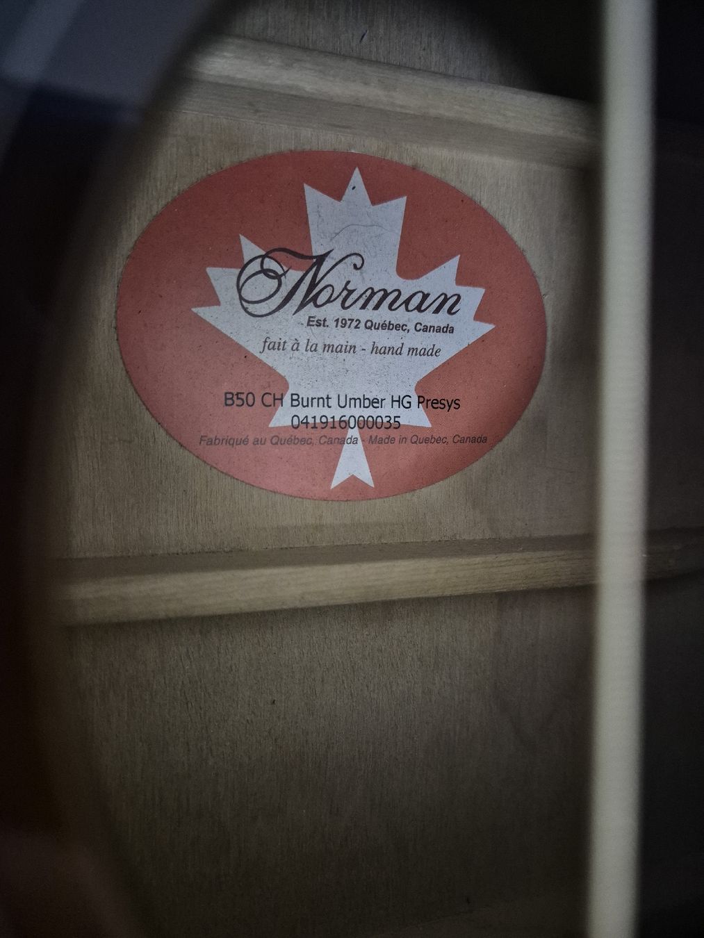 Strumenti musicali: Norman B50 Akustische Gitarre Canada – Usato da Dielsdorf venduto da 7TheRockDoc9 8