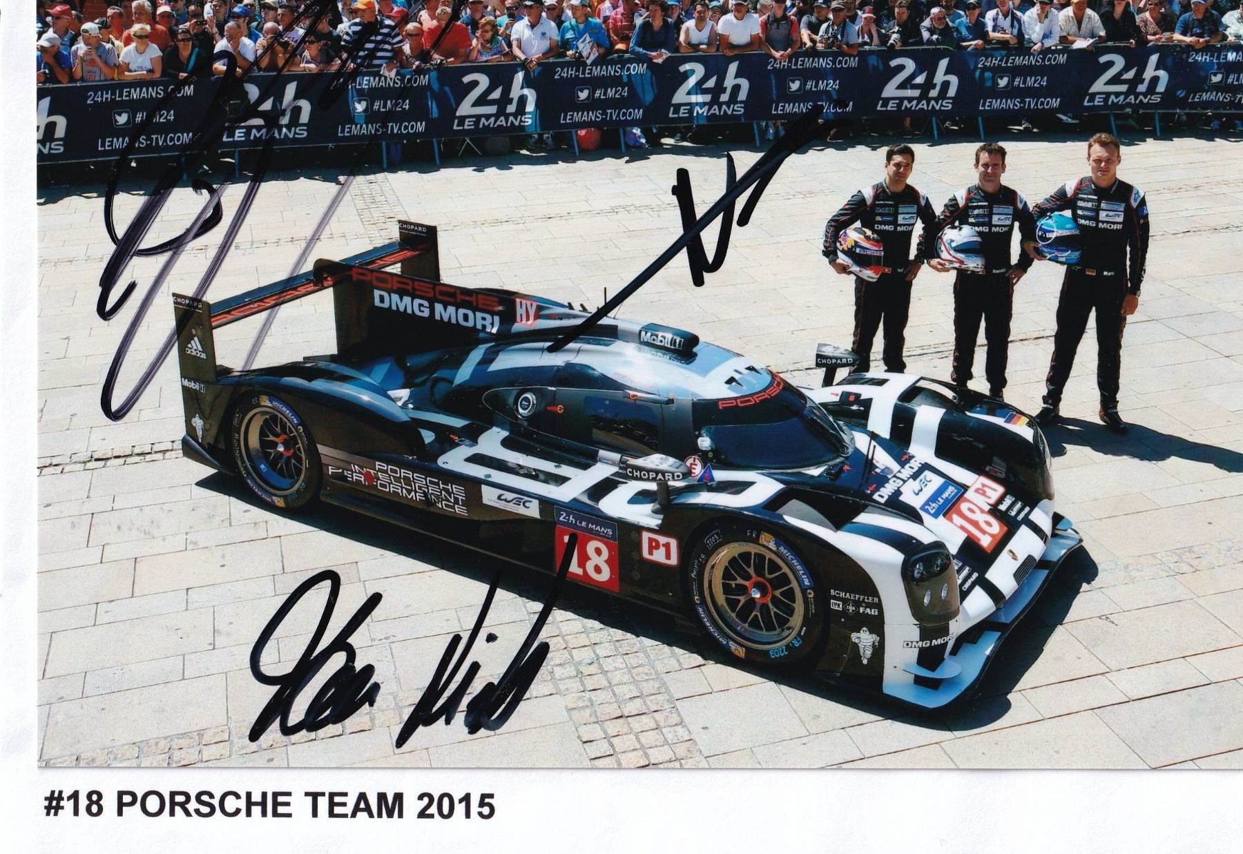 Autografi: Porsche Team 2015 – Usato da Grabs venduto da Sauber60
