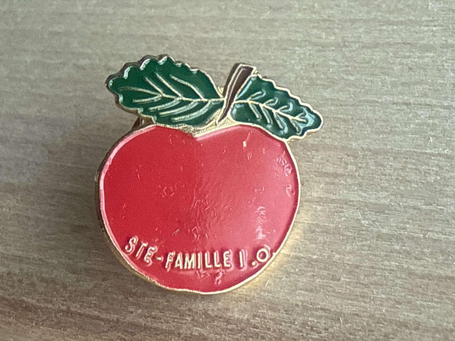 Placchette & Badge: Pin  STE-FAMILLE I.O. – Usato da Glattbrugg venduto da Schweigmatt