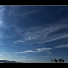 Profile image of Beachbar2424