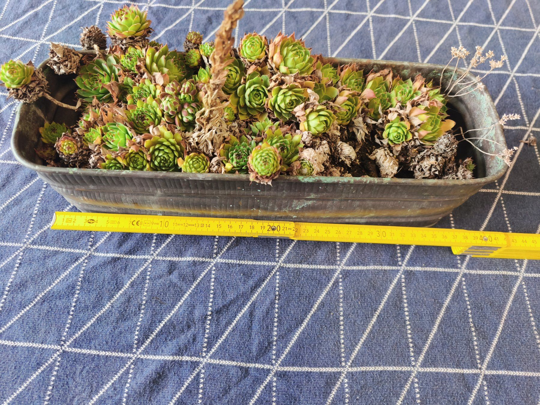 Blumentöpfe: Kupfergefäss ca 39cm – Gebraucht aus MUEHLAU von ibo_5c7d