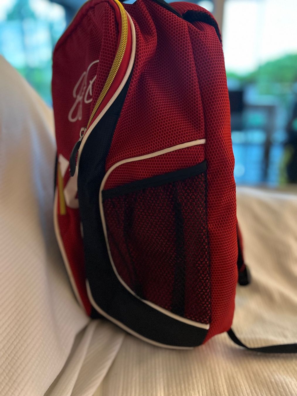 Sacs à dos: Tennisrucksack – D'occasion à Reinach BL par Adidelie 1