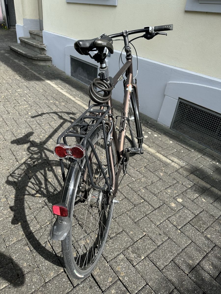 Raleigh Biciclette: Raleigh Nightflight – Usato da Biel/Bienne venduto da M4xx92 1