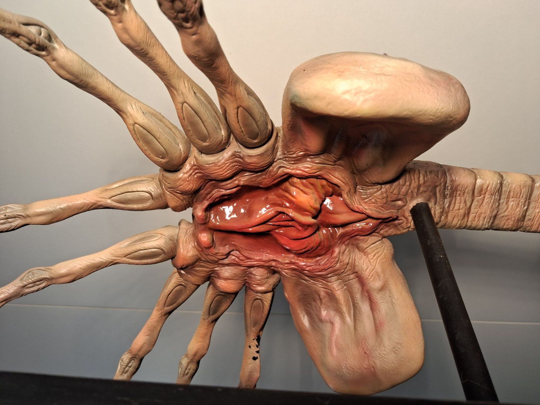 Figurines: Alien -Facehugger – D'occasion à Gretzenbach par chr_bxh5 5