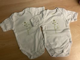 2 Vertbaudet Bodys, Gr.60 mit Bäumchen-Motiv, Frühling