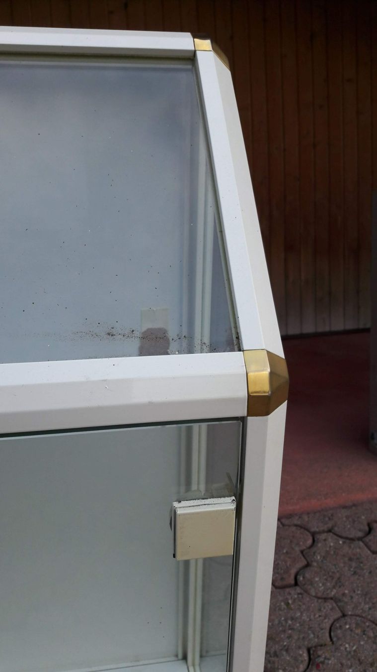 Vetrine: edle Glasvitrine  mit Beleuchtung – Usato da Weissbad venduto da almaco 2