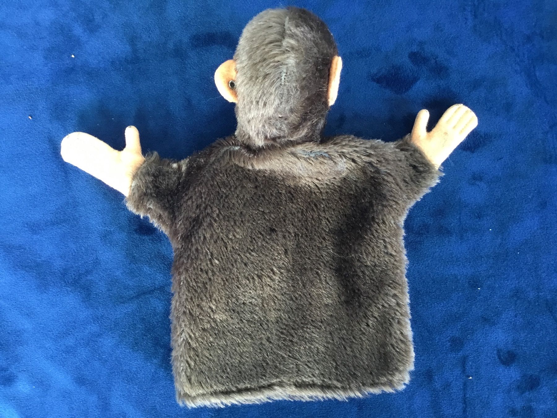 Steiff Giocattoli: Steiff Handpuppe Affe Jocko – Usato da Gossau ZH venduto da ClaudealDente 3