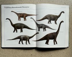 Dinosaurier Bildband für Kinder- und Jugeltliche
