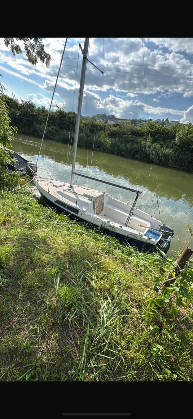 Barche: Segelboot mit Motor – Usato da Kerzers venduto da liv_8zv7