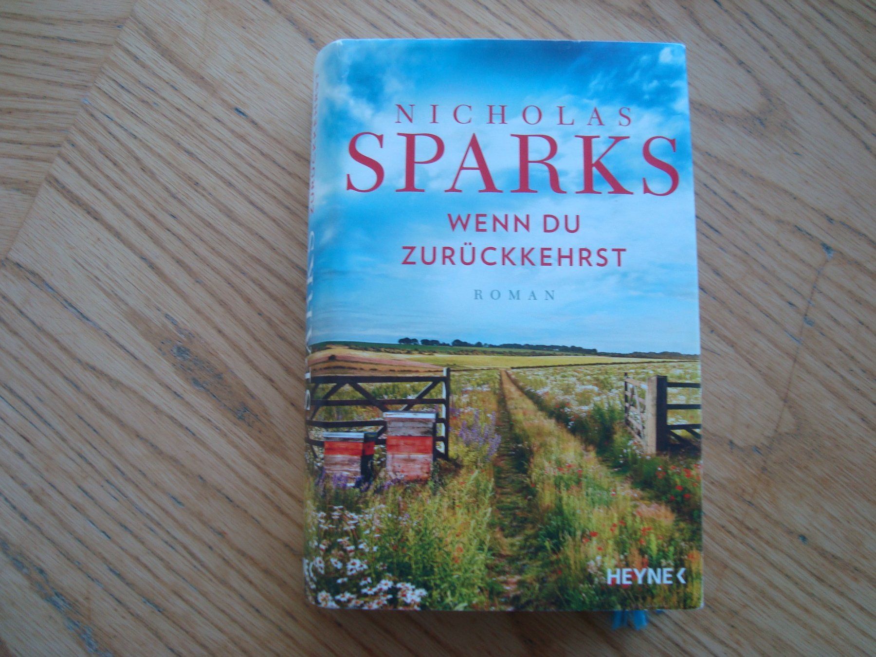 Libri: Nicholas Sparks (2 Bücher) – Usato da Aesch LU venduto da wysshan 1