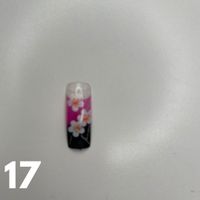 Fantasy Nail Tips