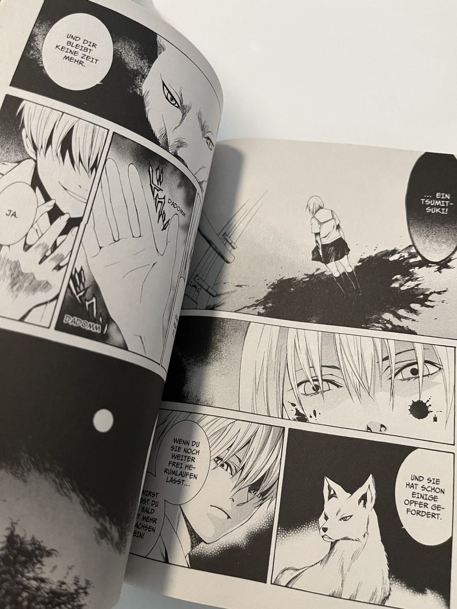 Fumetti: Tsumi Tsuki Einzelband – Usato da Bülach venduto da Myagi_Do 3