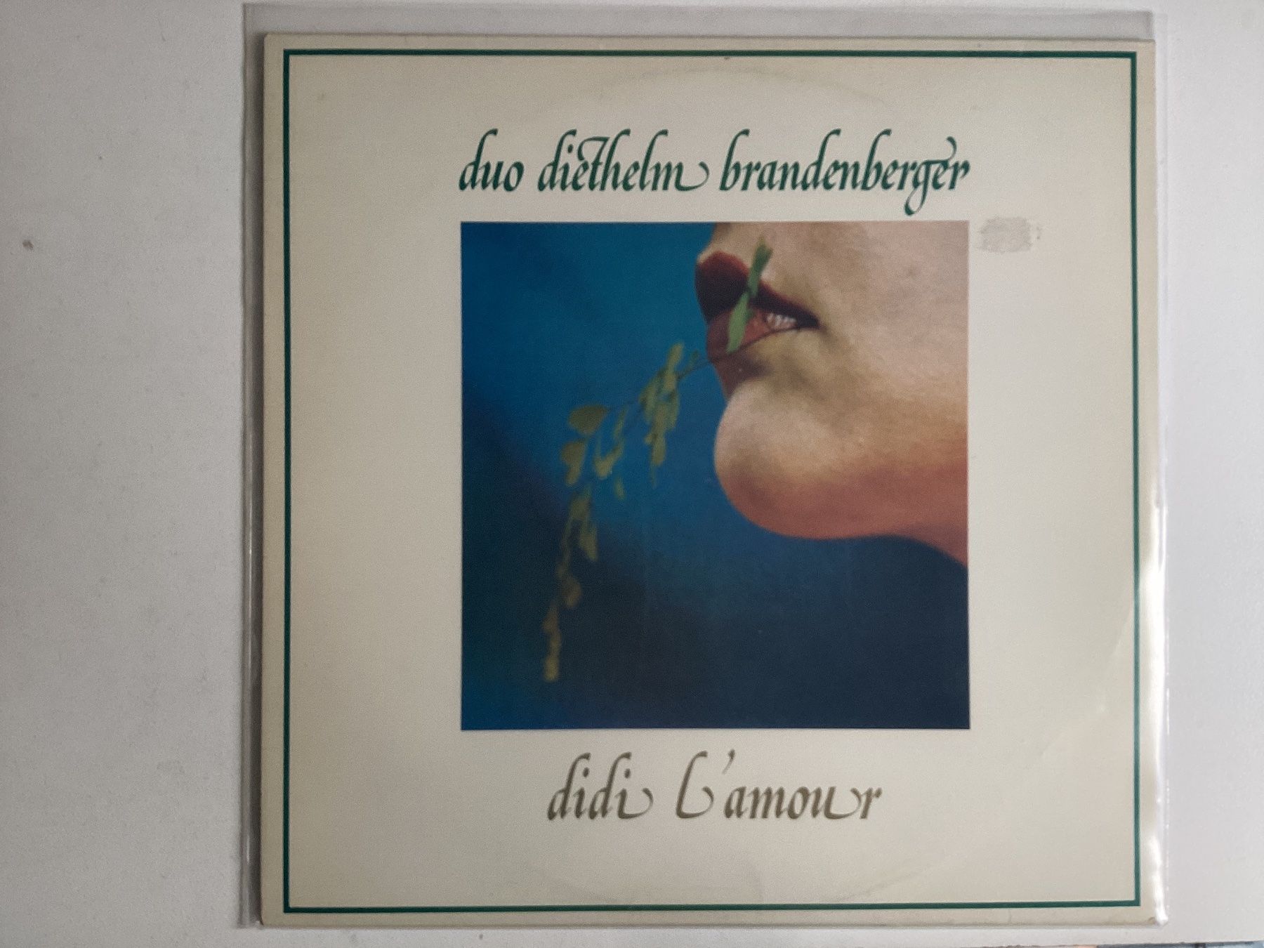 Dischi in vinile: Duo Diethelm LP - Didi L’amour – Usato da Gutenswil venduto da Hamzian