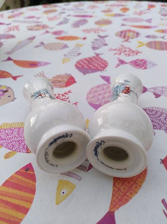 Ciotole: Saliera e pepiera in ceramica – Usato da Sessa venduto da uza_x5jm 1